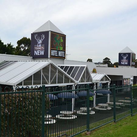 The Oaks Hotel Motel Albion Park Esterno foto
